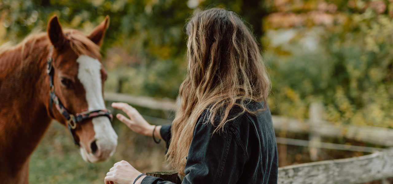 A woman reaches to pat a horse over a fence