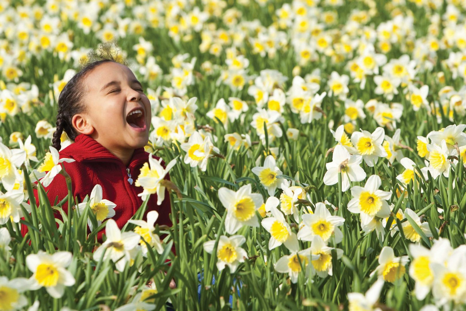 A little girl sits surrounded by pale yellow daffodils