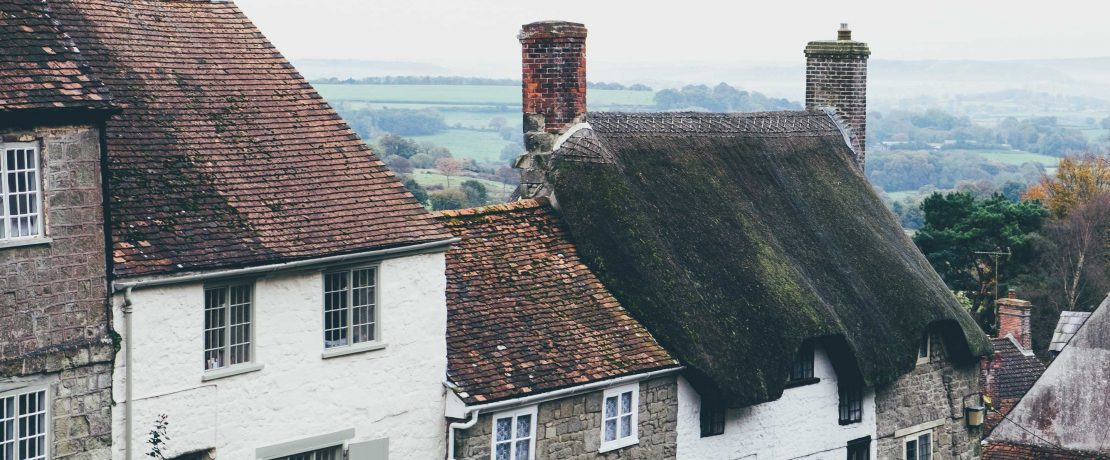 A row of different types of houses in a rural setting