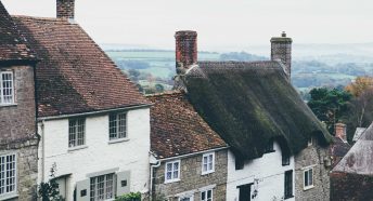 A row of different types of houses in a rural setting