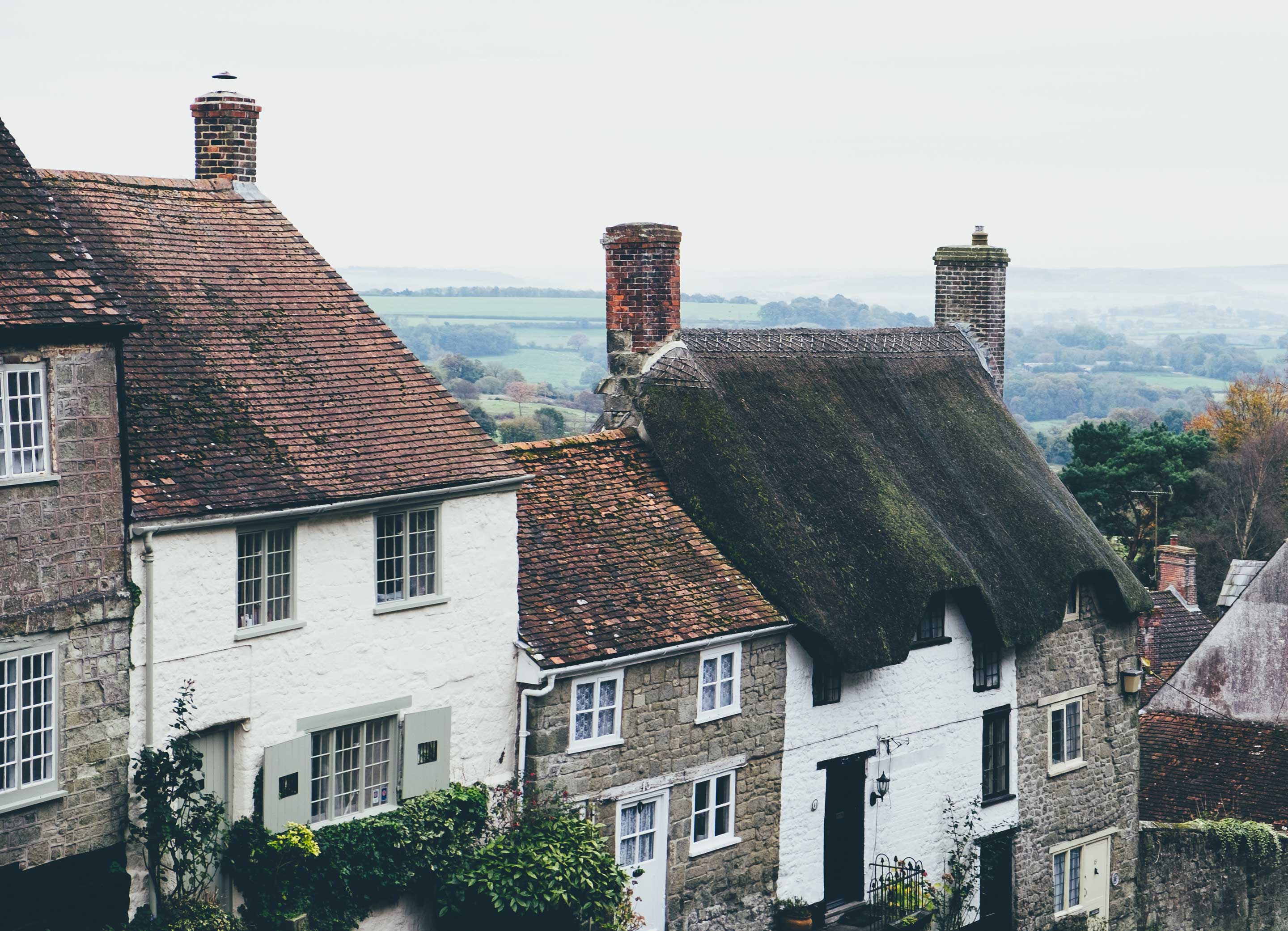 A row of different types of houses in a rural setting