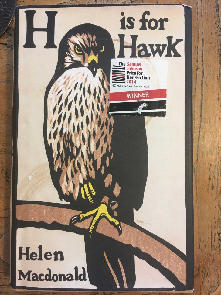 The front cover of 'H is for Hawk' showing a bird perched on a branch.