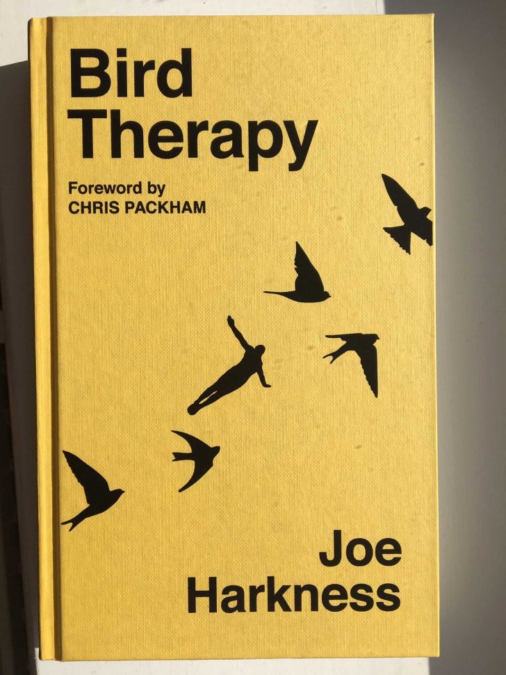 The front cover of 'Bird Therapy', a bright colour with silhouetted birds on it.