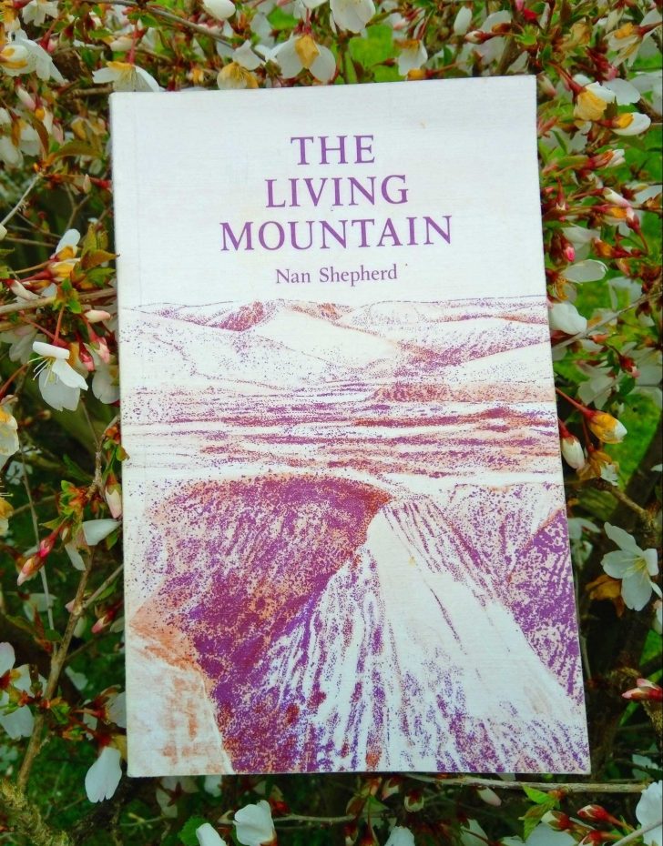 The front cover of 'The Living Mountain' showing a picture of hills