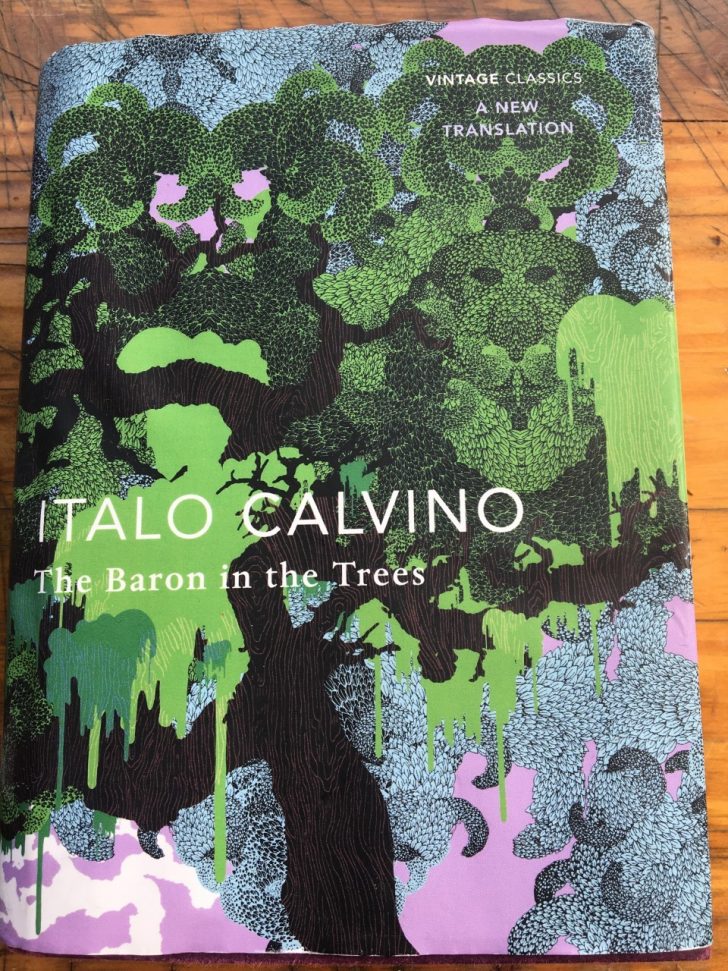 Front cover of The Baron in the trees book