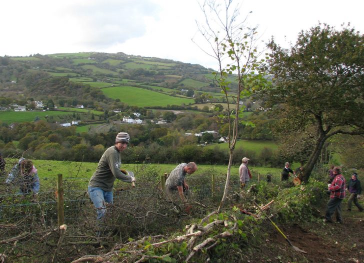 People working on a hedge with a countryside landscape behind