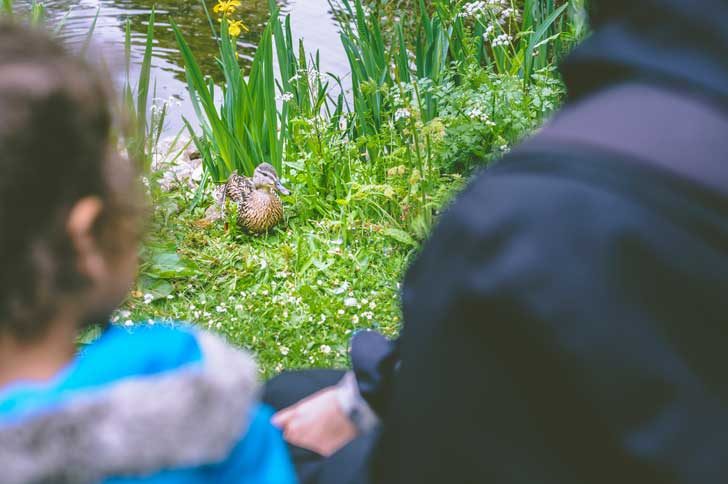 Backs of two people as they watch a duck on a riverbank