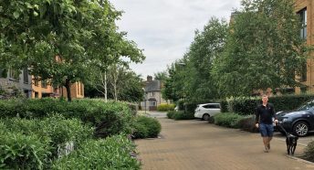 Man walks dog in leafy street