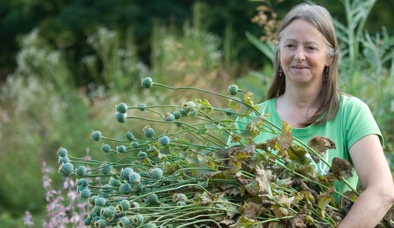 CPRE volunteer Susie White