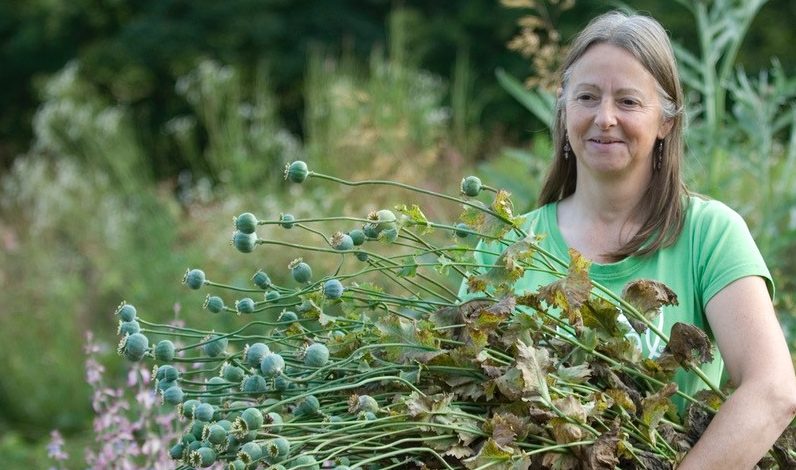 CPRE volunteer Susie White