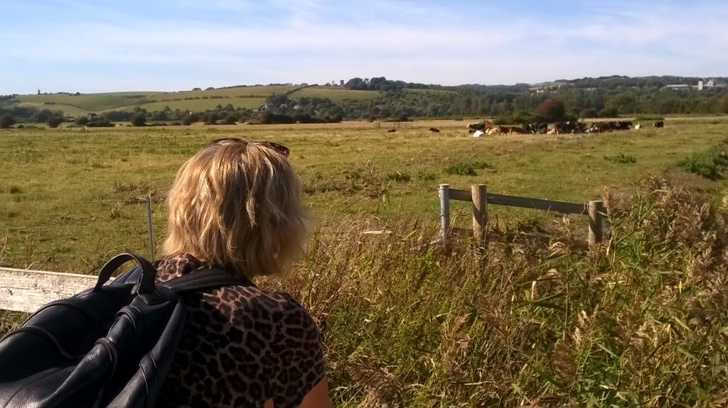 Woman looking over fields with herd of cows