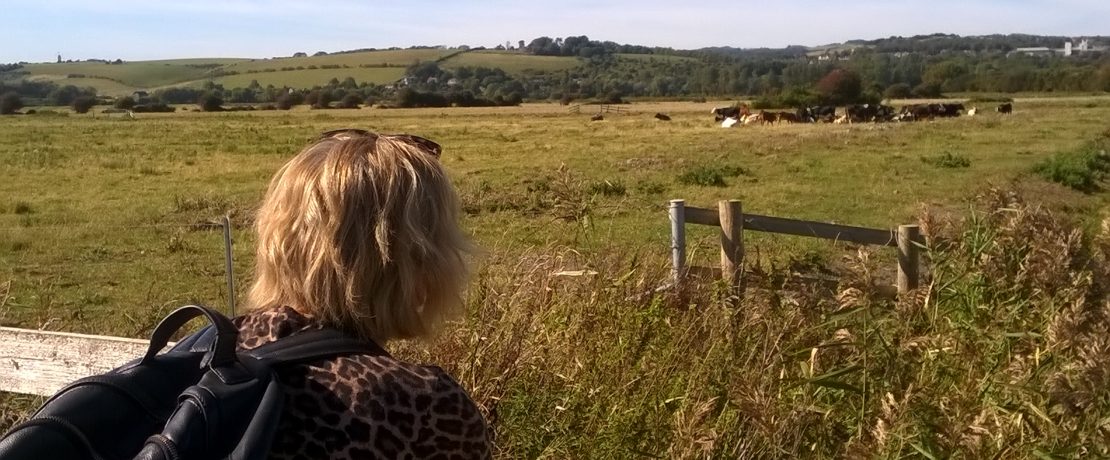 Woman looking over fields with herd of cows