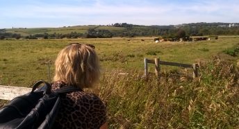 Woman looking over fields with herd of cows