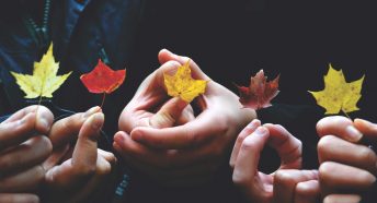 Hands holding autumnal leaves