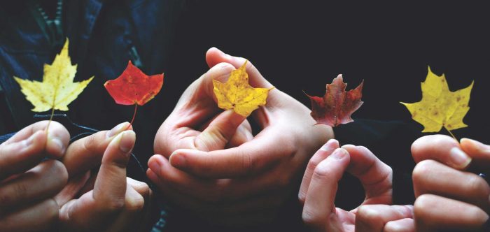 Hands holding autumnal leaves