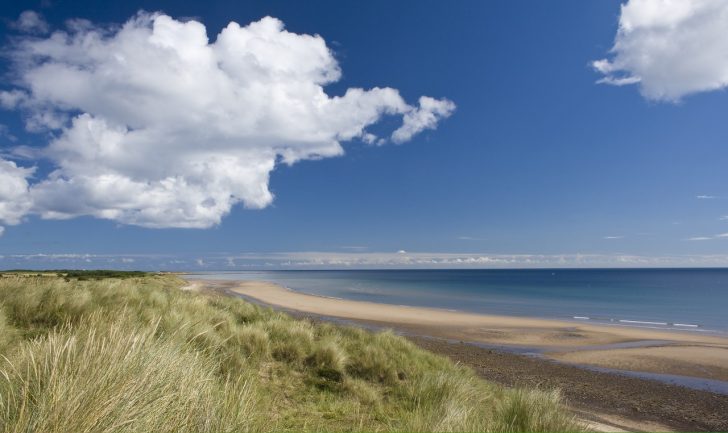 Broad sweep of sandy beach, dunes and sea on sunny day