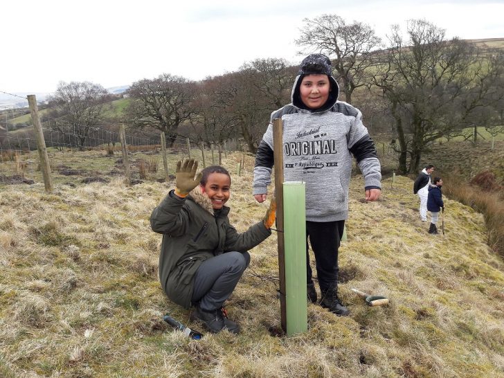 Children planting a tree as part of the Green Guardians project
