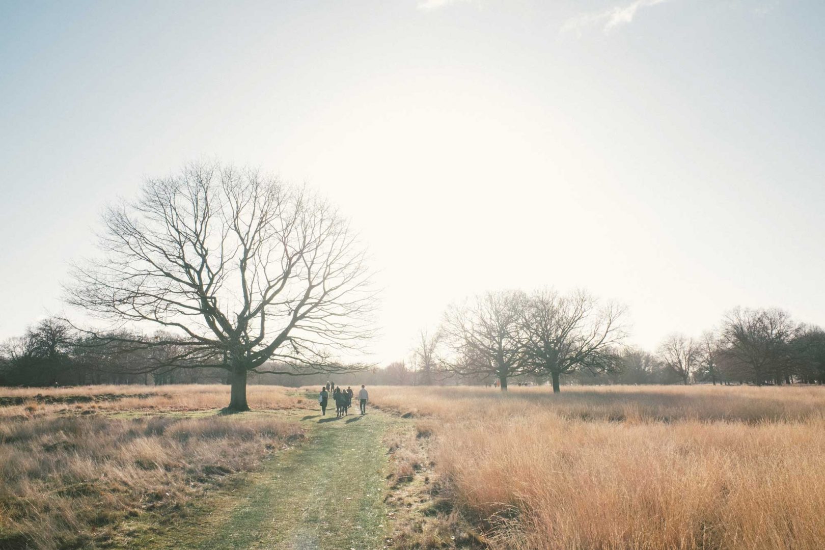People walk across an open grassy space