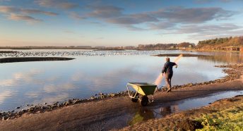 A man stands on dark peat and throws food to wetland birds