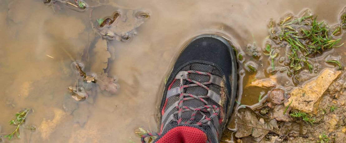 Muddy walking boot in puddle with leaves