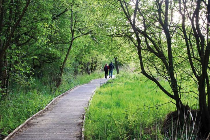 Two people on raised wooden boardwalk above greenery