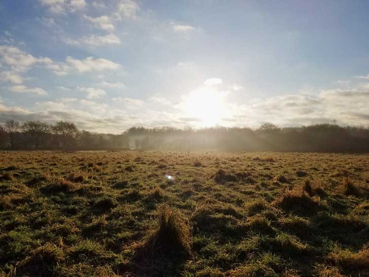 A grassy field at sunrise