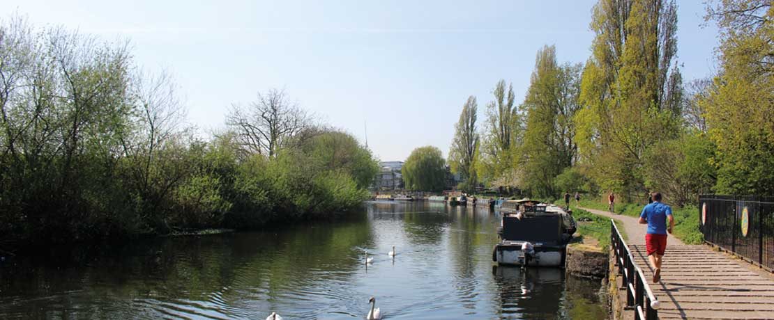 A jogger runs along a river path path with swans in the water