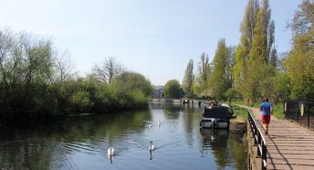 A jogger runs along a river path path with swans in the water