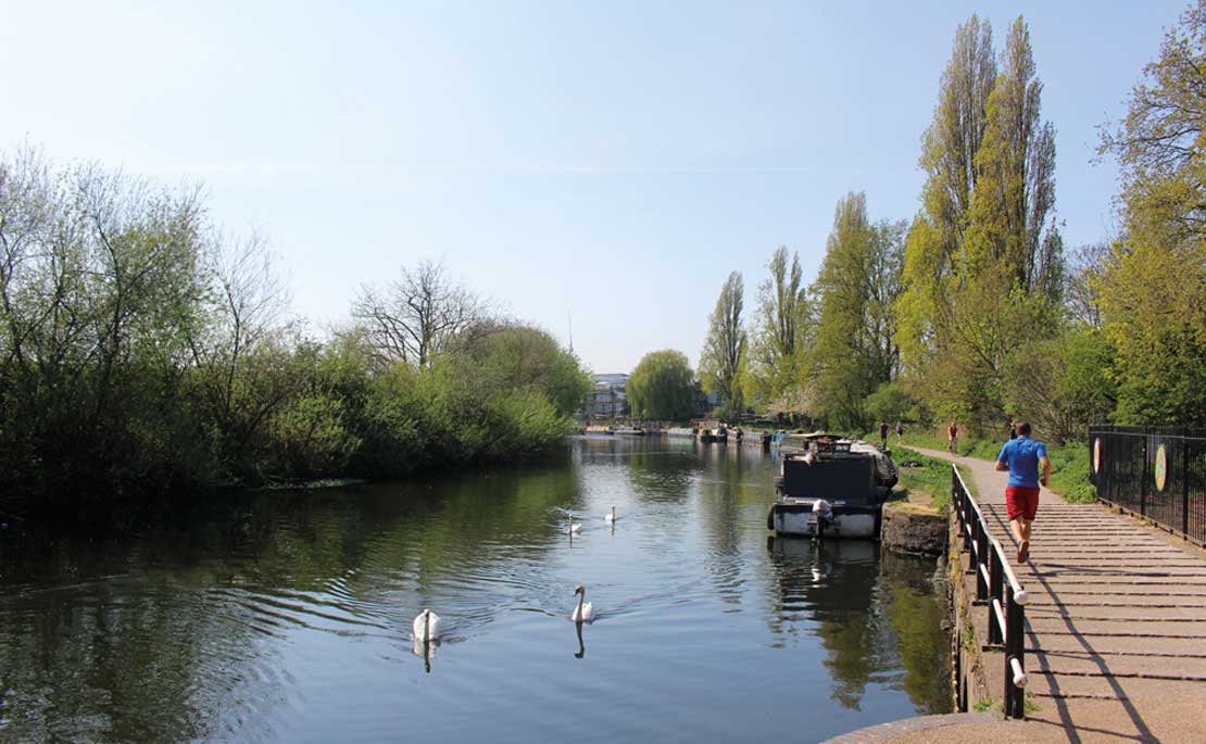 A jogger runs along a river path path with swans in the water