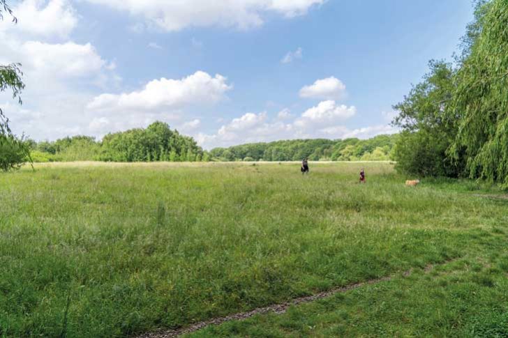 An adult and child in a large grassy field