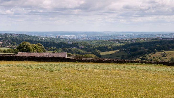 Fields with a cityscape in the distance