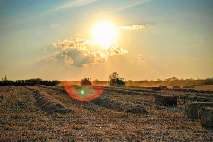 A field being harvested with tractors and bright sunshine above