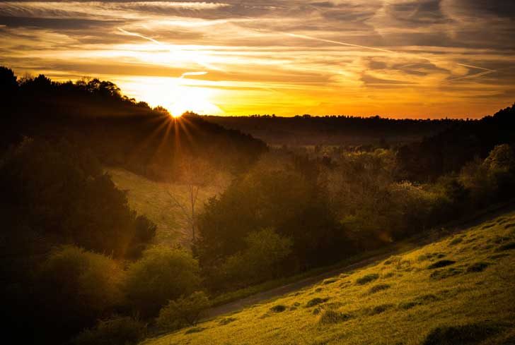 A grassy valley flooded with warm sunlight