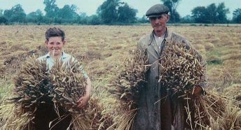 A faded photograph of a man and boy holding sheaves of wheat