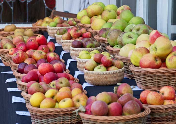 Baskets of different coloured apples on a tablecloth