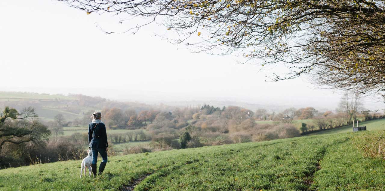 A woman pauses with her dog on a grassy slope with a view below
