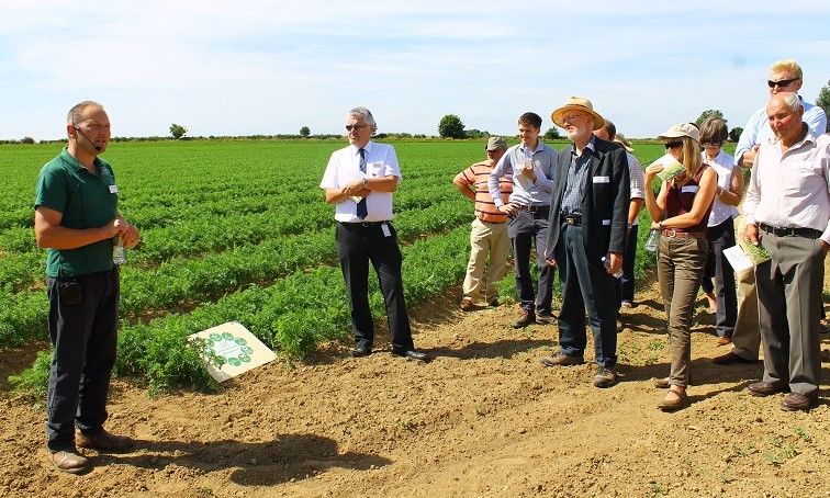 Farmer talking to visitors standing at edge of field of crops