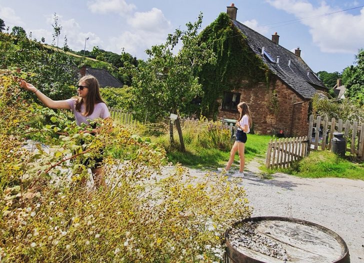 Girls leaning into hedgerows to pick fruit outside a farmhouse