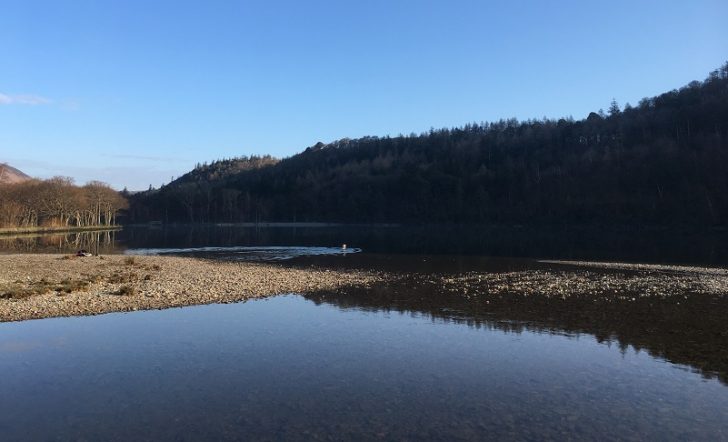 A swimmer on a sunny day in a calm lake