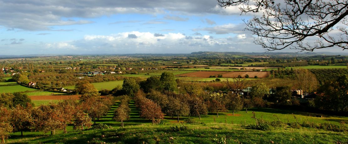 An autumn view from a hill over an orchard towards patchwork fields of brown and green