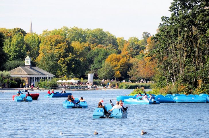 A boating lake with people in pedaloes and moor hens on the water with autumnal trees in the background