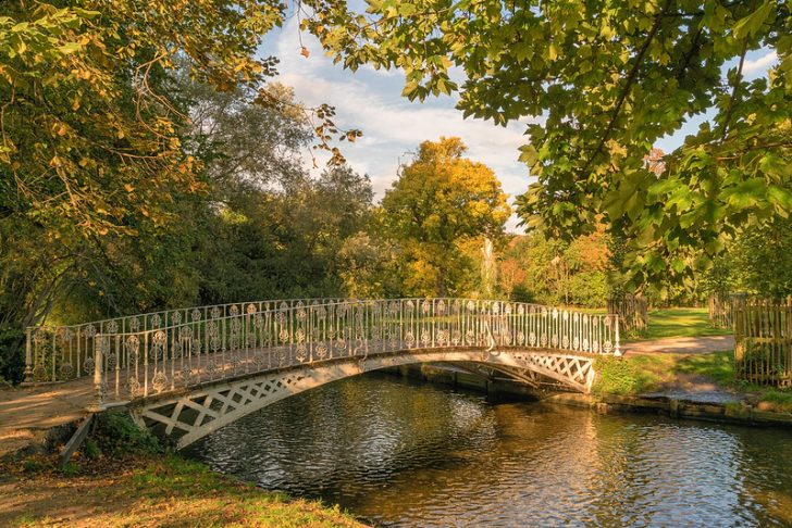 a white iron bridge over a river in a park surrounded by autumnal trees