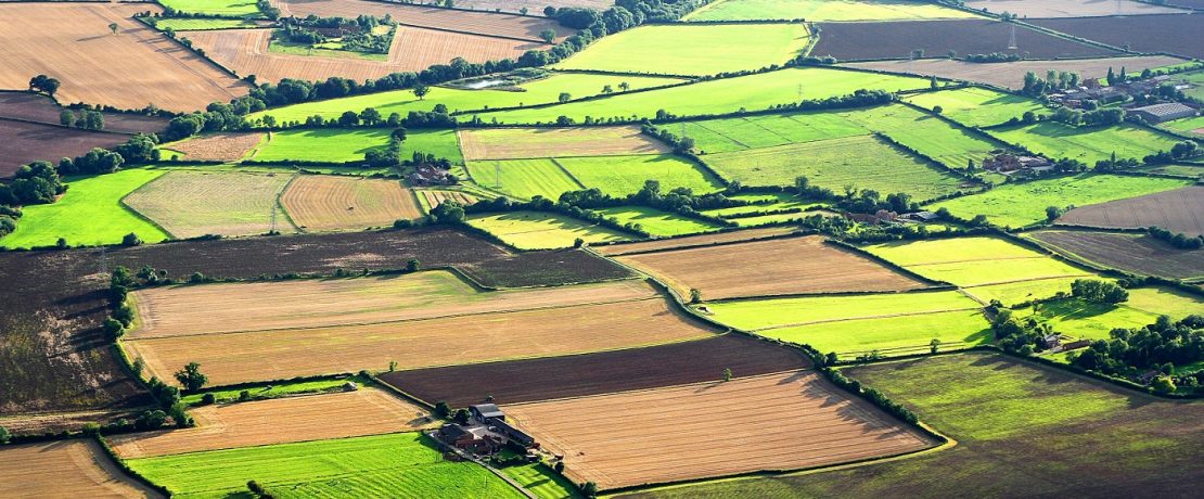 Aerial view of patchwork fields