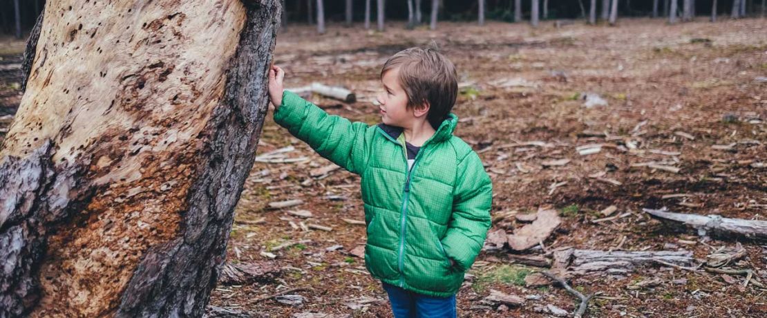 A small boy in a bright outdoor jacket touches tree bark