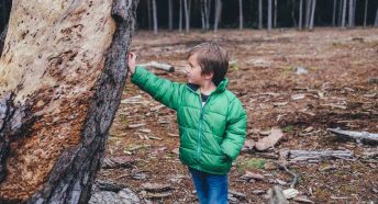 A small boy in a bright outdoor jacket touches tree bark