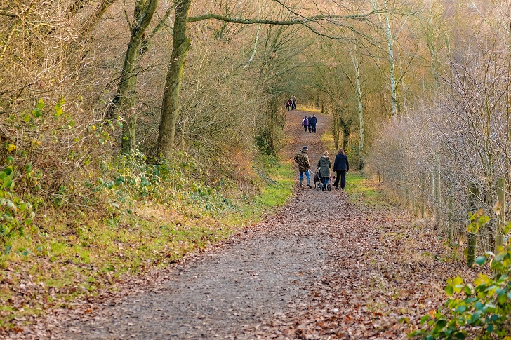 Families on a footpath in woodland during winter