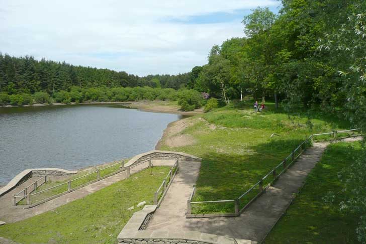 A flat accessible path down a grassy slope to a water's edge