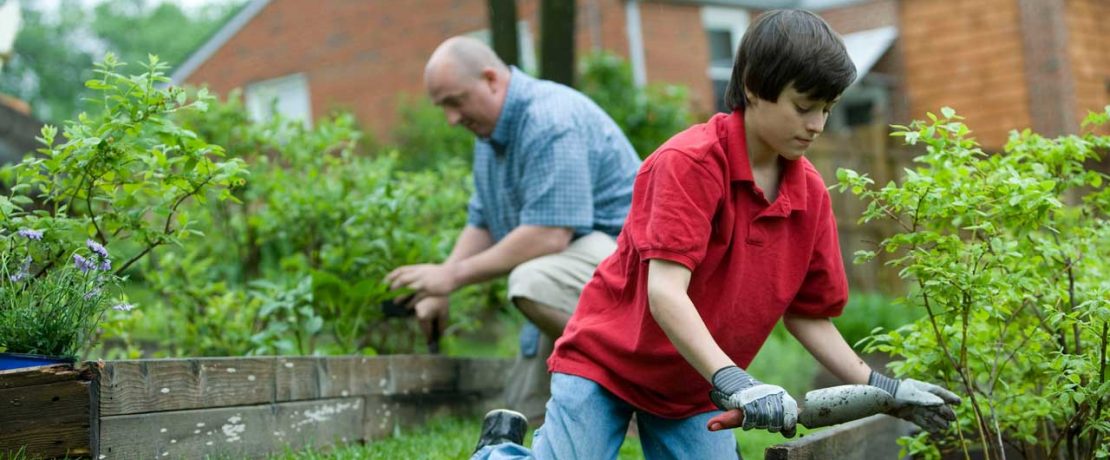 An older man and small boy kneel in a garden and work on raised beds