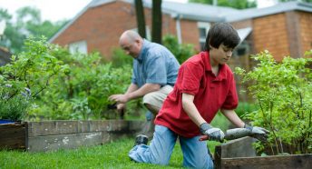 An older man and small boy kneel in a garden and work on raised beds