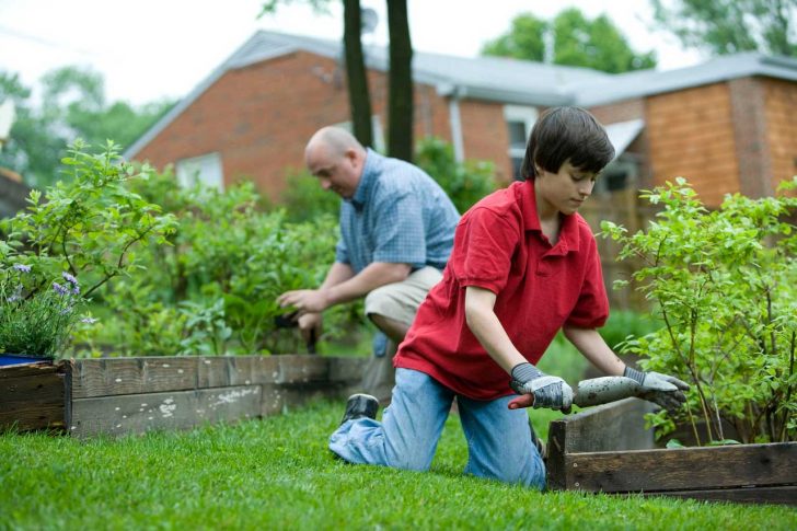An older man and small boy kneel in a garden and work on raised beds
